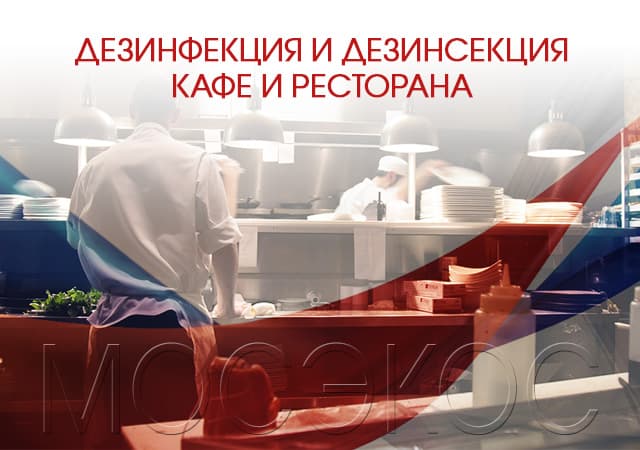 Дезинсекция предприятия общественного питания в Жуковском