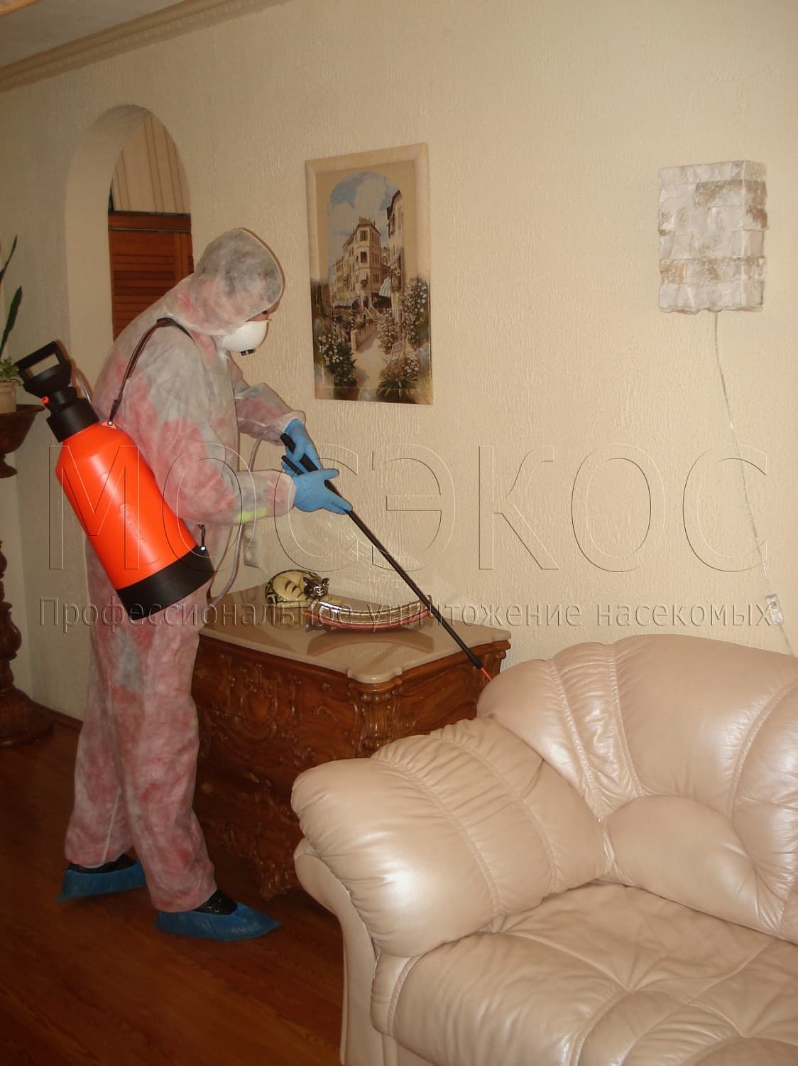 Клопы дома: как избавиться от паразитов в Жуковском